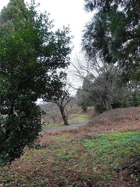 伯耆古代の丘公園