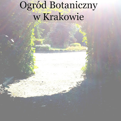 ogród botaniczny w krakowie