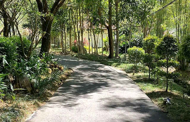 Jogging track di Dayang Resort