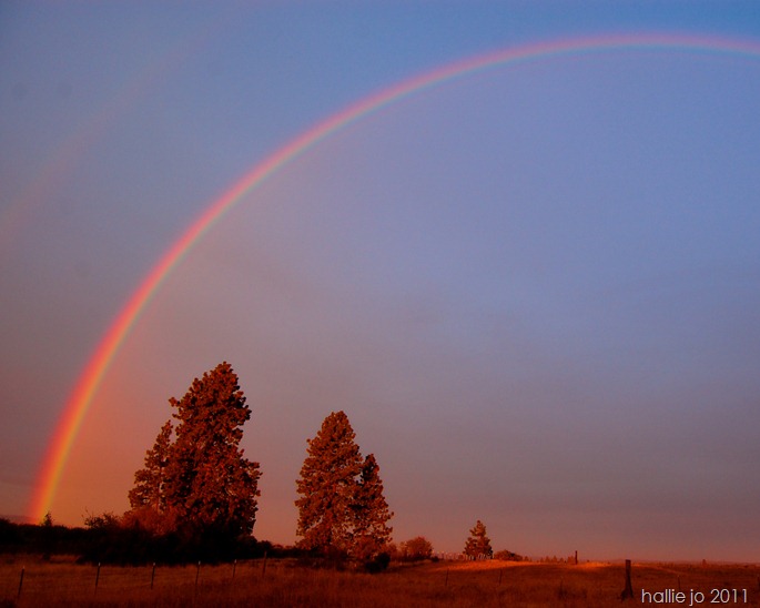 rainbow3