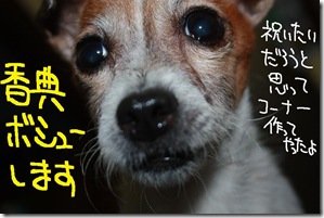 今日カズ１０１１０２　４