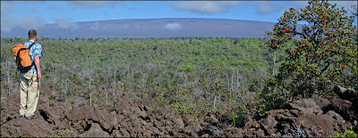 Mauna Loa volcano Hawaii