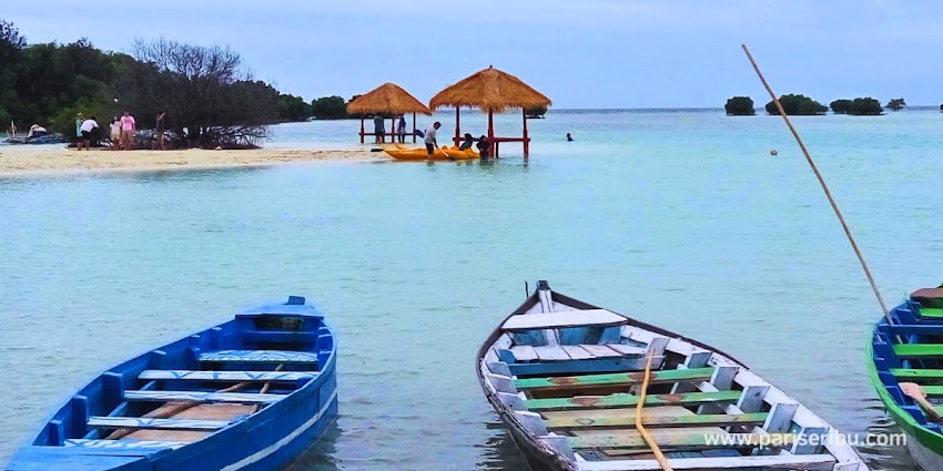 sewa perahu keliling mangrove di pantai pasir perawan pulau pari