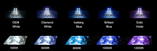 xenoncity