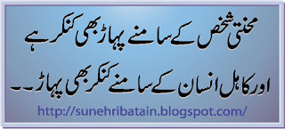 urdu anmol batain facebook, achi batein in urdu