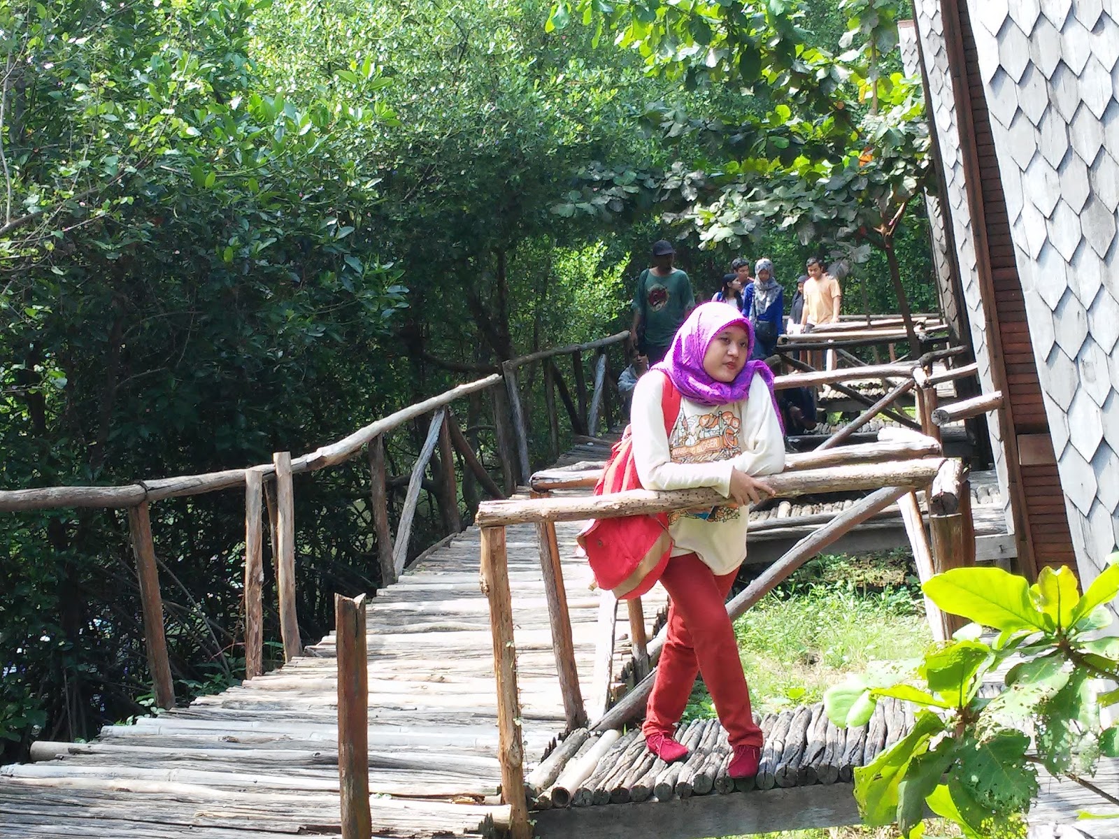 Refreshing Hanya Di Jakarta Ayo Piknik Di Hutan Mangrove PIK