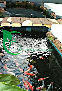 tukang kolam minimalis tangerang selatan