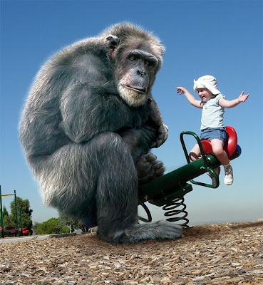 great apes madrid spain human nilo evangelista photoshop world animal rights