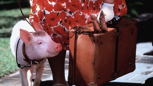 Babe, le cochon dans la ville 1998 bdrip