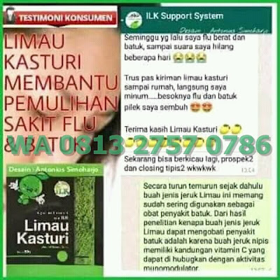 √ Gambar Limau Kasturi ⭐ Bisnis MLM Baru ✅ Bisnis Online