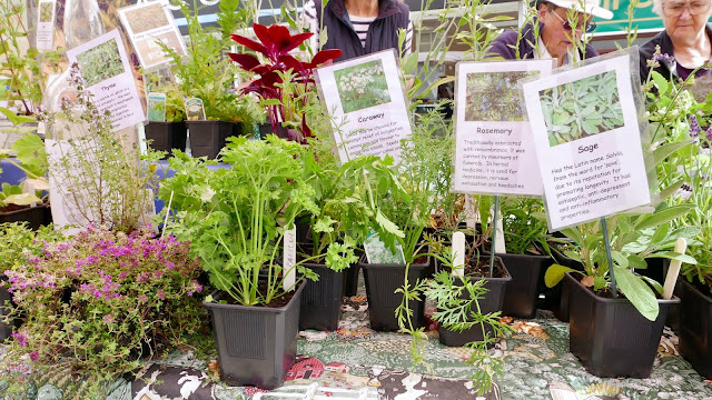 Congleton Bath House, Physic Garden, herbs, for sale, Congleton Food Festival