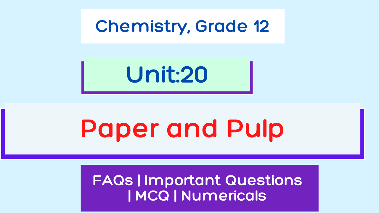 Paper and Pulp Notes | Class 12 Applied Chemistry