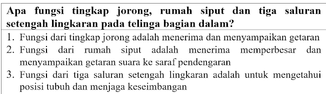 Apa fungsi tingkap jorong, rumah siput dan tiga saluran setengah lingkaran pada telinga bagian dalam?