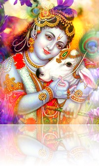 [Krishna with cow]