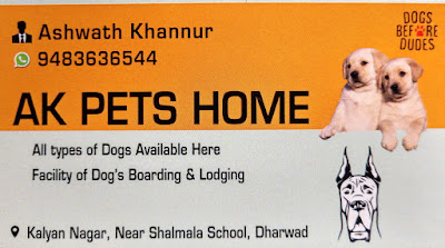 pet shops dharwad