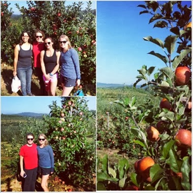 Mercier Orchards