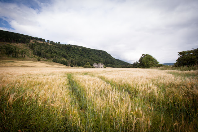 Castle Menzies