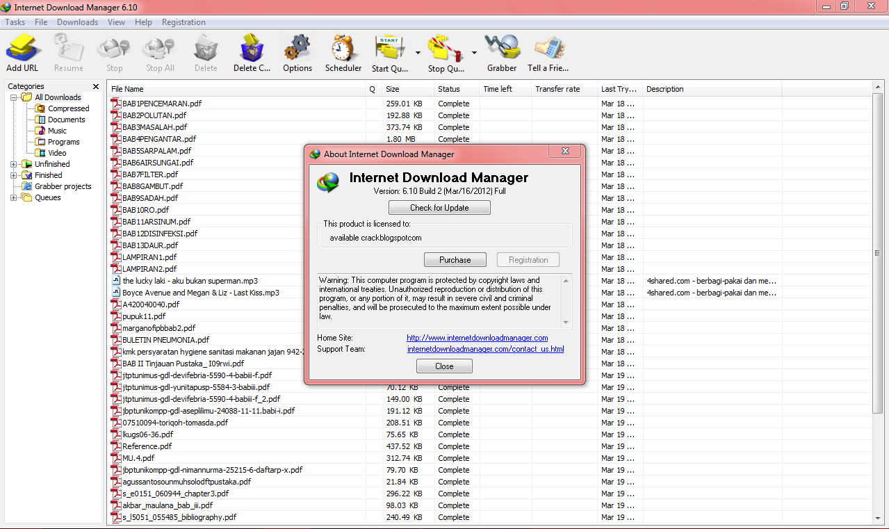 Internet Download Manager v6.10 Final Build 2 Full Version ...