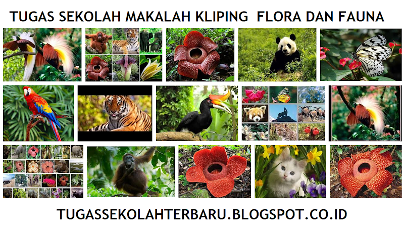 50+ Gambar Flora Fauna Dan Alam Benda Yang Langka, Paling Top!