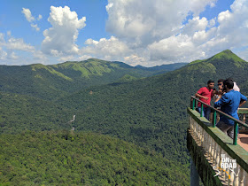 A Bisle forest view during a bright monsoon day