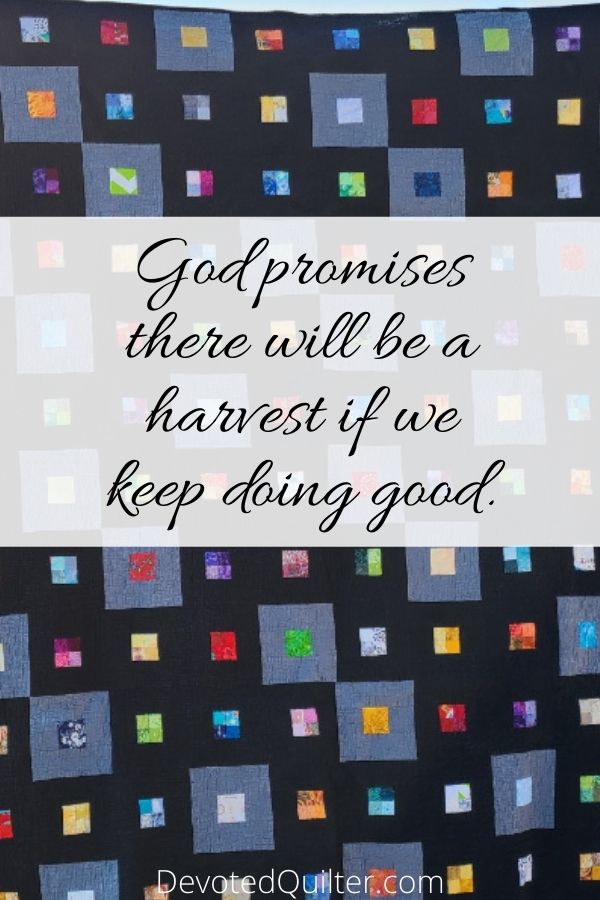 God promises there will be a harvest if we keep doing good | DevotedQuilter.com