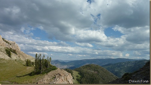 Elephant mountain hike_20090825_173