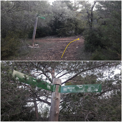 GR-7 ARBOLÍ A MONTRAL, camí a la Plana de la Pona a la Serra de la Mussara