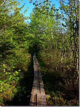 Pond 1 Walkway.tif