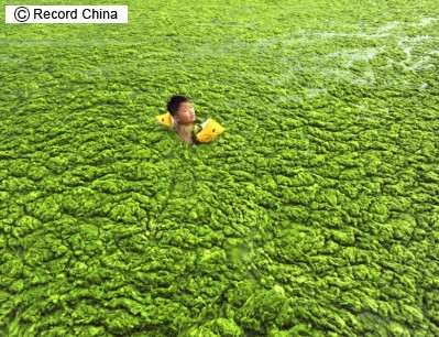 ボロボロになる中国国土 自然生態系の破壊 7月 13