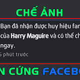 Chế ảnh Fan cứng Facebook, Troll