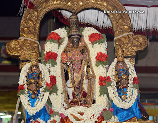 Vaigasi Visagam, Sri Nammazhwar Sattrumurai ,Purappadu,Video, Divya Prabhandam,Sri Parthasarathy Perumal, Triplicane,Thiruvallikeni,Utsavam,Brahmotsavam