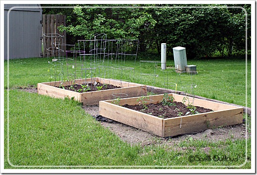 outsidegarden