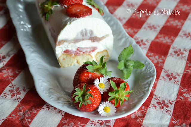 Bûche glacée à la rhubarbe et aux fraises © Popote et Nature