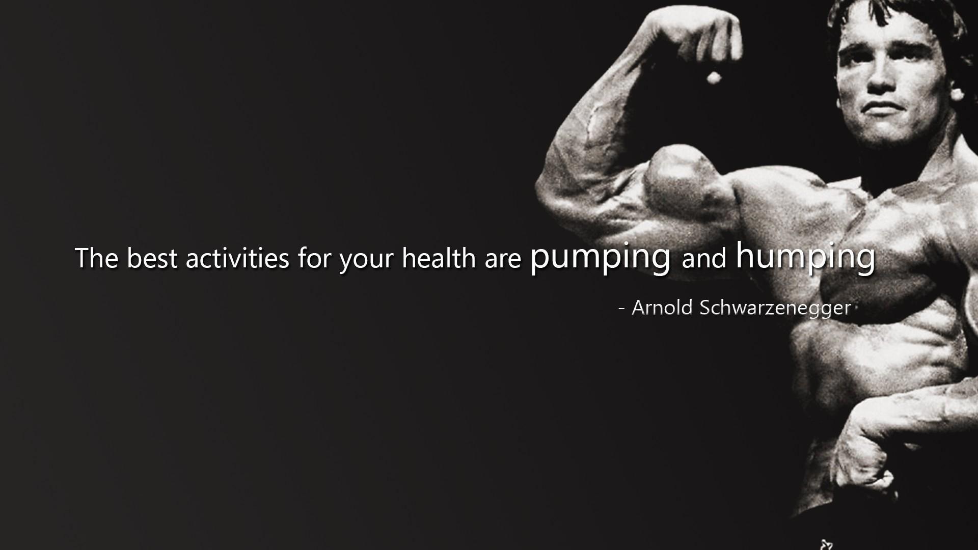 Arnold Bodybuilding, Bodybuilding, Bodybuilding Wallpaper, photo Bodybuilding