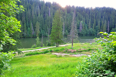 Bicaz Canyon, Cheile Bicazului, Kaczyka. Landscapes, Neamt County, 