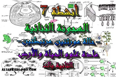 تحميل أنشطة 7: الهجونة الثنائية -حالة مورثتين مرتبطتين- للسنة الثانية باك , درس , ملخص , تمارين , امتحانات وطنية علوم الحياة والارض , علوم الحياة والارض , فروض علوم الحياة والارض , الثانية باك , بكالوريا , دروس اونلاين