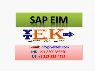 SAP EIM Training