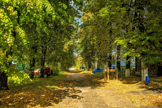 Осенняя улица в селе