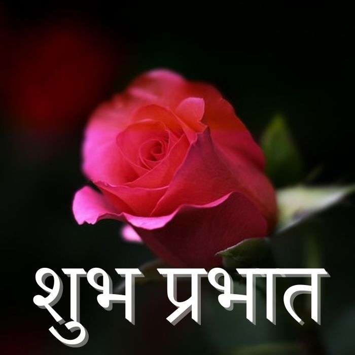 Subh Prabhat Images