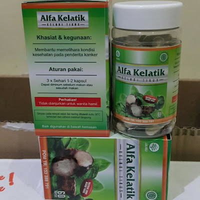 alfa kelatik keladi tikus al afiat