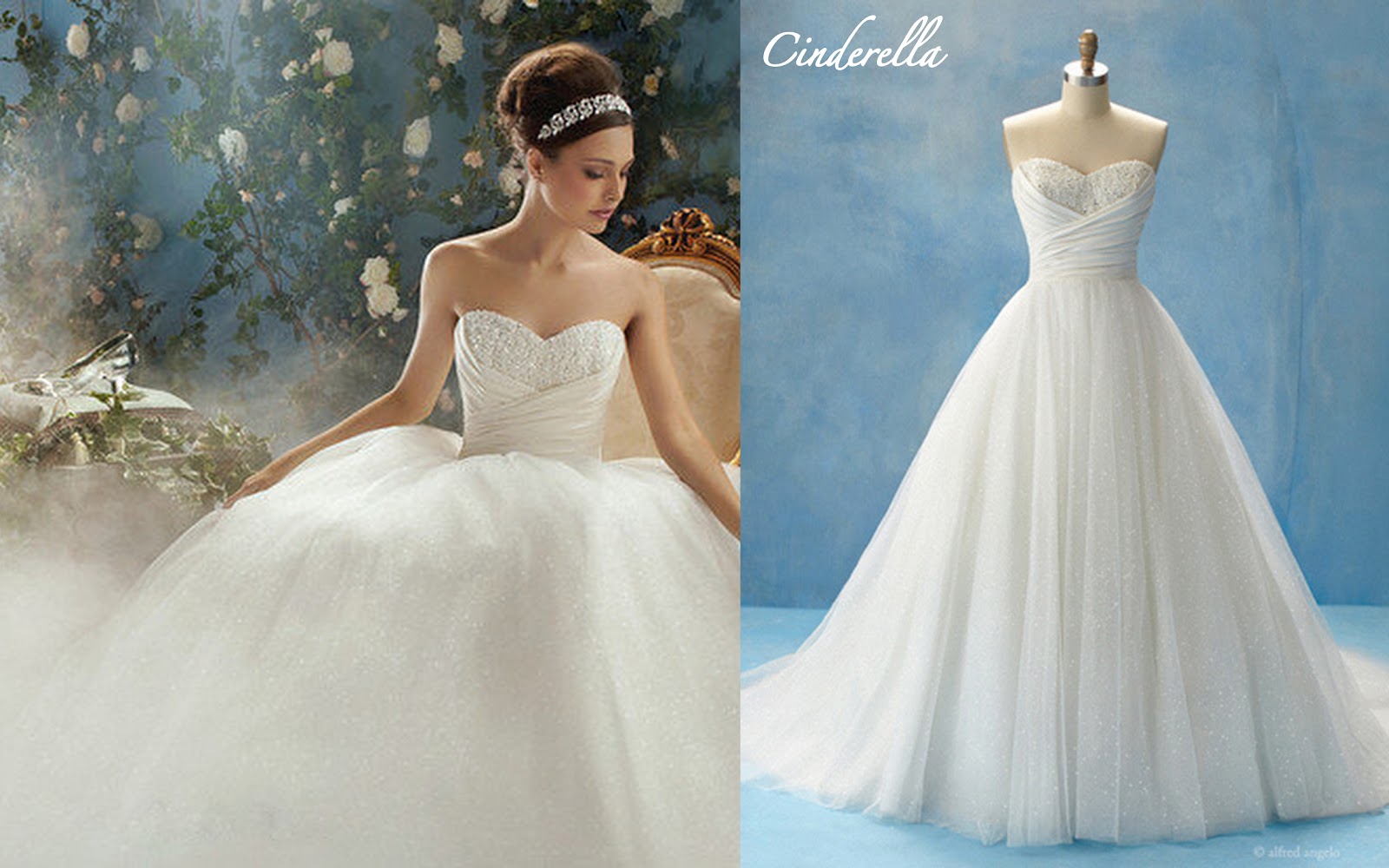 strapless wedding dresses ball gown lace Cinderella's gown sparkles in glittering tulle, placed over a full 