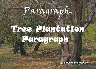 Tree plantation paragraph