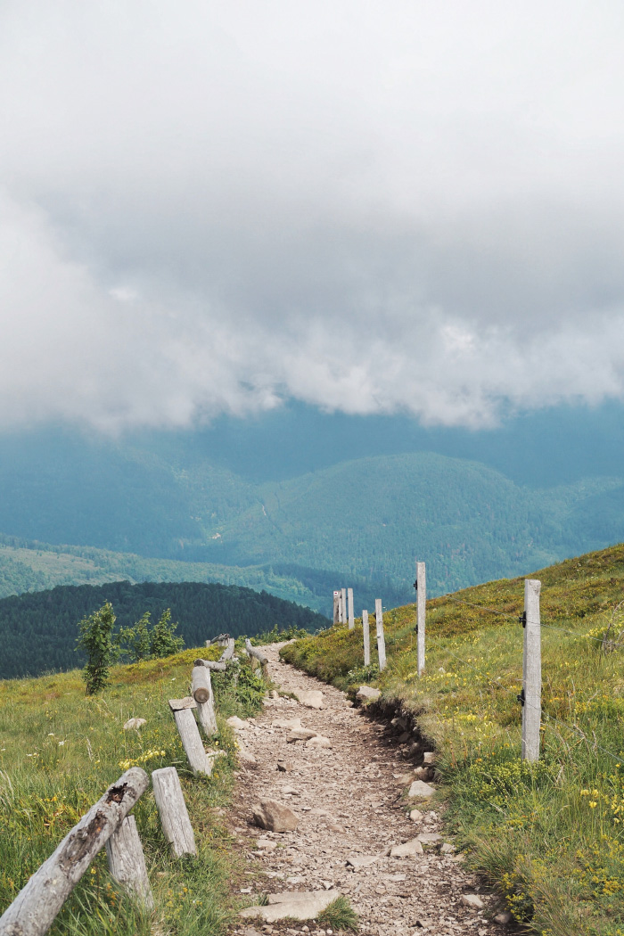 Randonner au Grand Ballon en Alsace