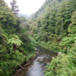 View album