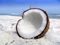 Coconut