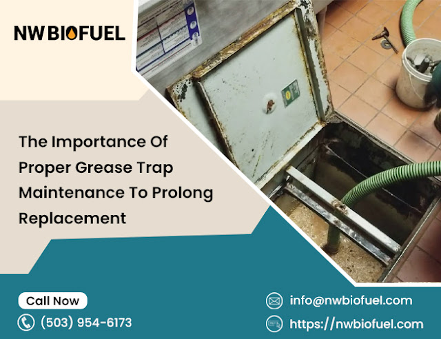 The Importance Of Proper Grease Trap Maintenance To Prolong Replacement