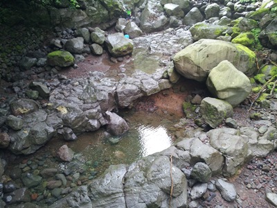 2011-08-02 08.56.39