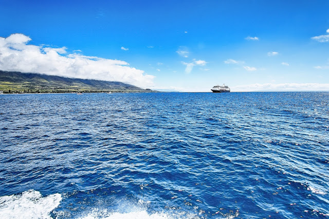 view from the Expeditions Ferry of Maui and a cruise ship