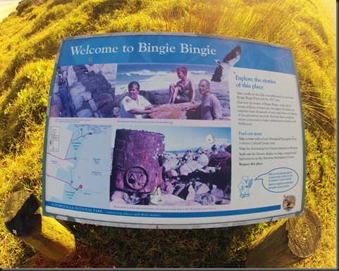 binji1