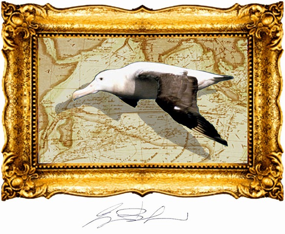 Il ritorno dell'albatro